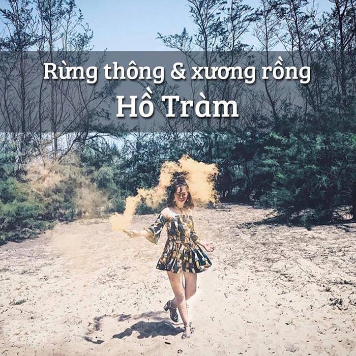 Rung thong Ho Tram voi canh dep lung linh