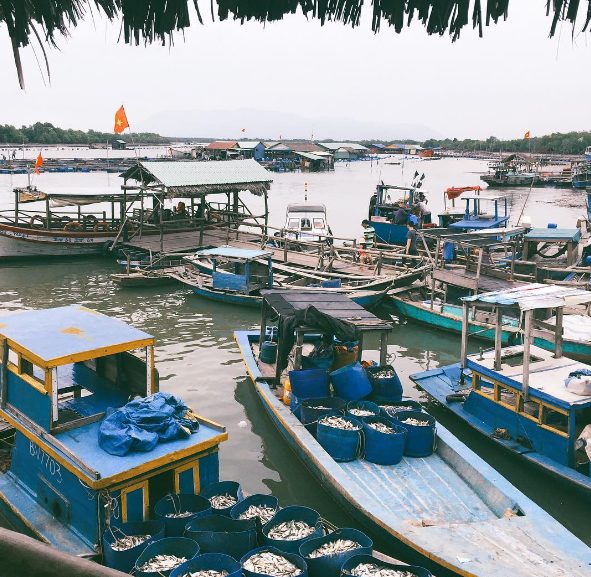Hình ảnh Ăn "đã" hải sản ở làng bè Long Sơn Vũng Tàu 2
