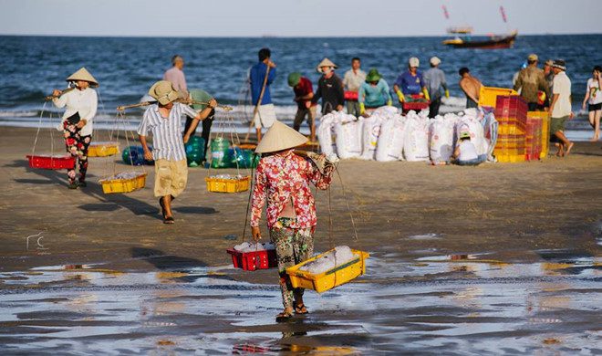 Hình ảnh Du lịch làng chài Phước Hải 5