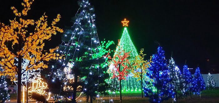 Hình ảnh đêm hội ánh sáng tại Vũng Tàu chào đón Noel 2019 2