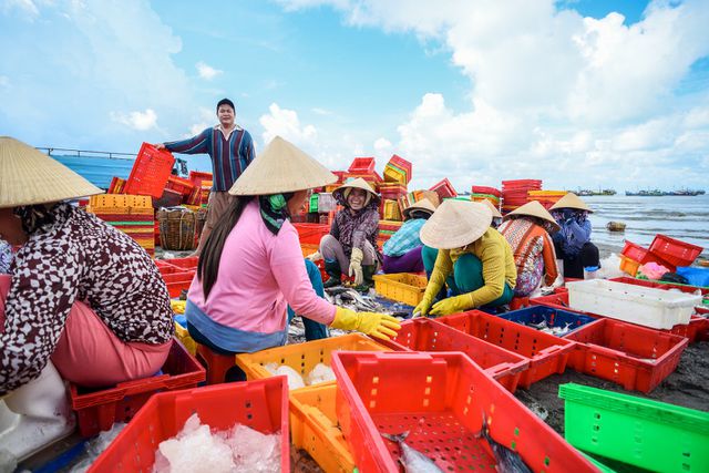 Hình ảnh Khám phá khu chợ Bến Đình Vũng Tàu đầy ắp hải sản 2
