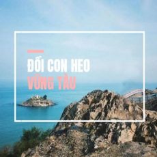Hình ảnh Đồi Con Heo - Điểm thú vị khi đi du lịch Vũng Tàu 8